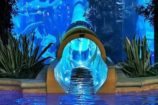 亚克力鱼缸在水族馆内的应用